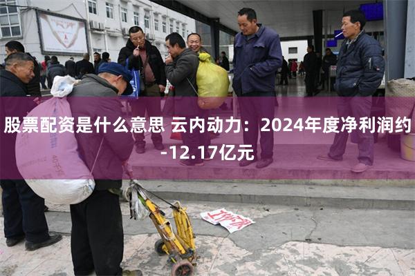 股票配资是什么意思 云内动力：2024年度净利润约-12.17亿元