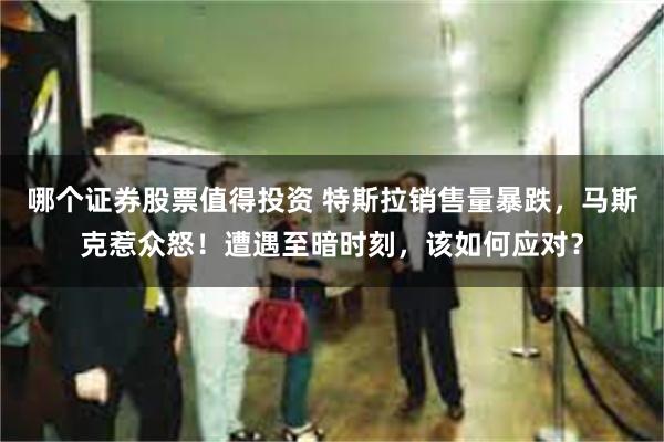 哪个证券股票值得投资 特斯拉销售量暴跌，马斯克惹众怒！遭遇至暗时刻，该如何应对？