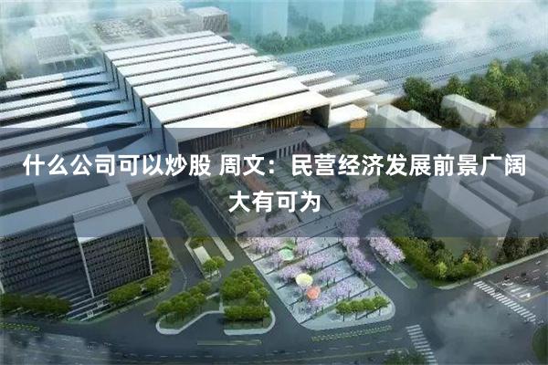 什么公司可以炒股 周文：民营经济发展前景广阔大有可为