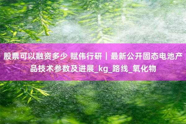 股票可以融资多少 赋伟行研｜最新公开固态电池产品技术参数及进展_kg_路线_氧化物