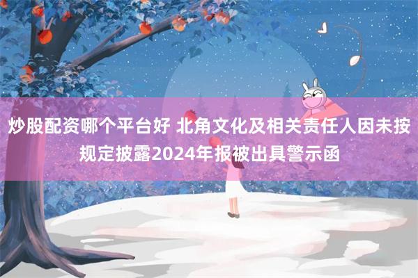 炒股配资哪个平台好 北角文化及相关责任人因未按规定披露2024年报被出具警示函