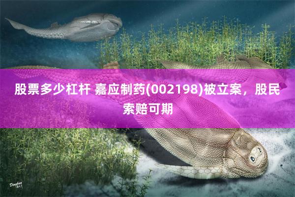 股票多少杠杆 嘉应制药(002198)被立案，股民索赔可期