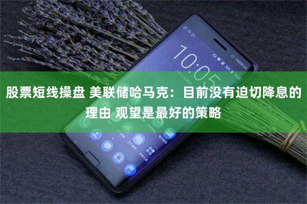 股票短线操盘 美联储哈马克：目前没有迫切降息的理由 观望是最好的策略