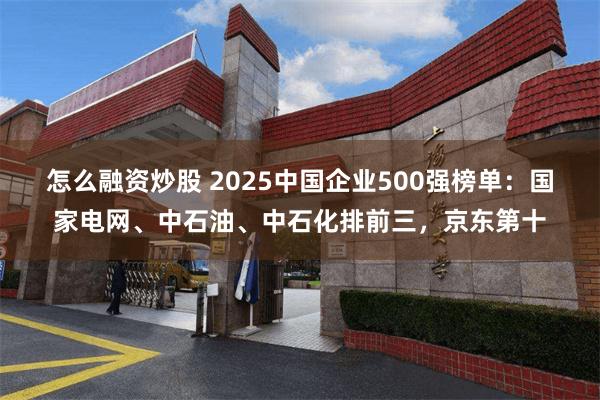 怎么融资炒股 2025中国企业500强榜单：国家电网、中石油、中石化排前三，京东第十